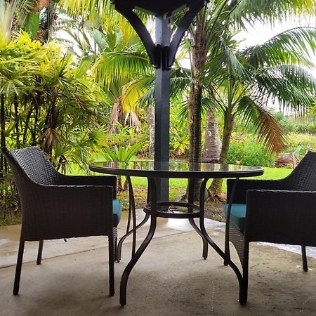 Island Goode'S - Luxury Adult Only Accommodation Near Hilo Papaikou 외부 사진