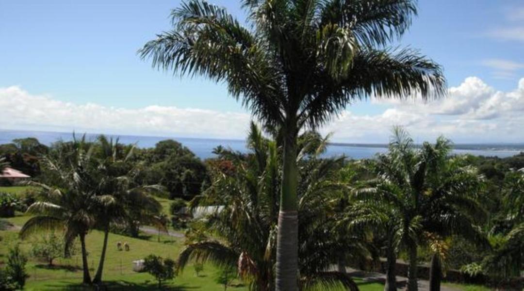 Island Goode'S - Luxury Adult Only Accommodation Near Hilo Papaikou 외부 사진
