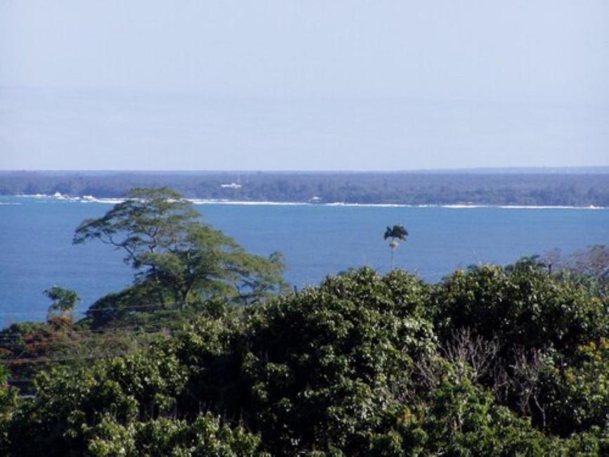 Island Goode'S - Luxury Adult Only Accommodation Near Hilo Papaikou 외부 사진