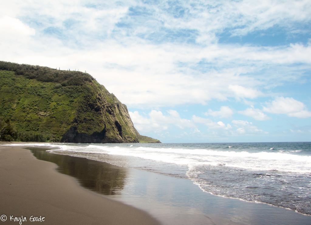Island Goode'S - Luxury Adult Only Accommodation Near Hilo Papaikou 외부 사진