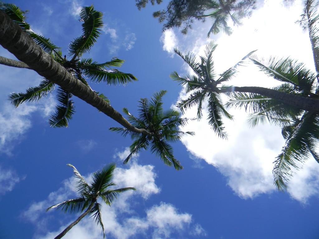 Island Goode'S - Luxury Adult Only Accommodation Near Hilo Papaikou 외부 사진