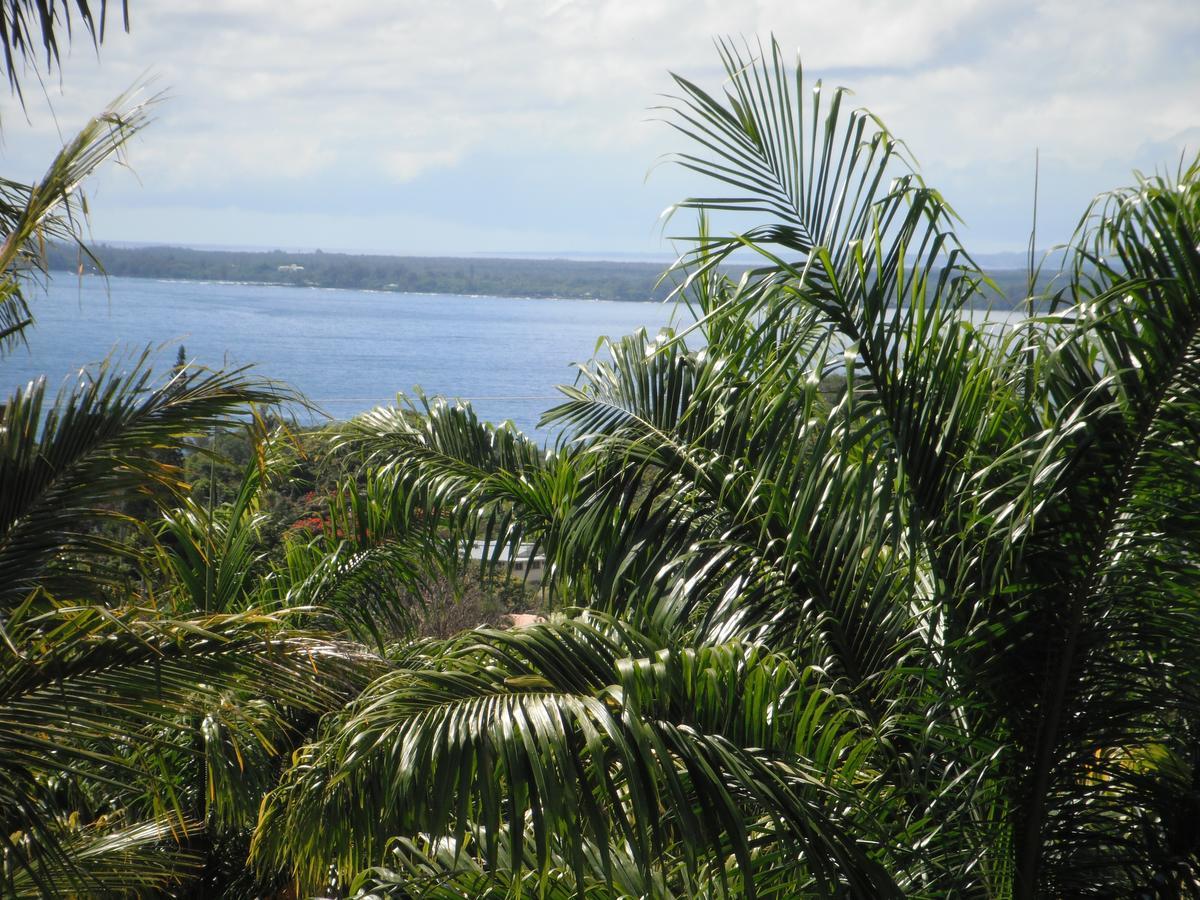 Island Goode'S - Luxury Adult Only Accommodation Near Hilo Papaikou 외부 사진