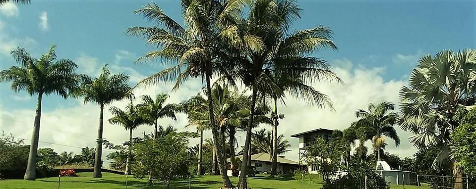Island Goode'S - Luxury Adult Only Accommodation Near Hilo Papaikou 외부 사진